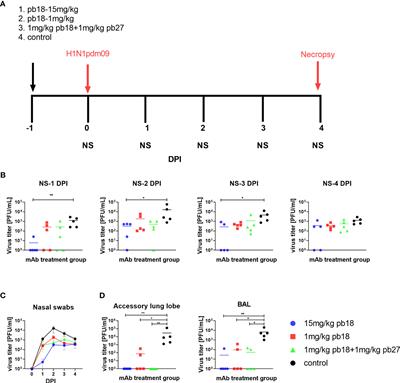 Low Dose Pig Anti-Influenza Virus Monoclonal Antibodies Reduce Lung Pathology but Do Not Prevent Virus Shedding